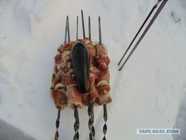 Дача, грибы, мясо, овощи.