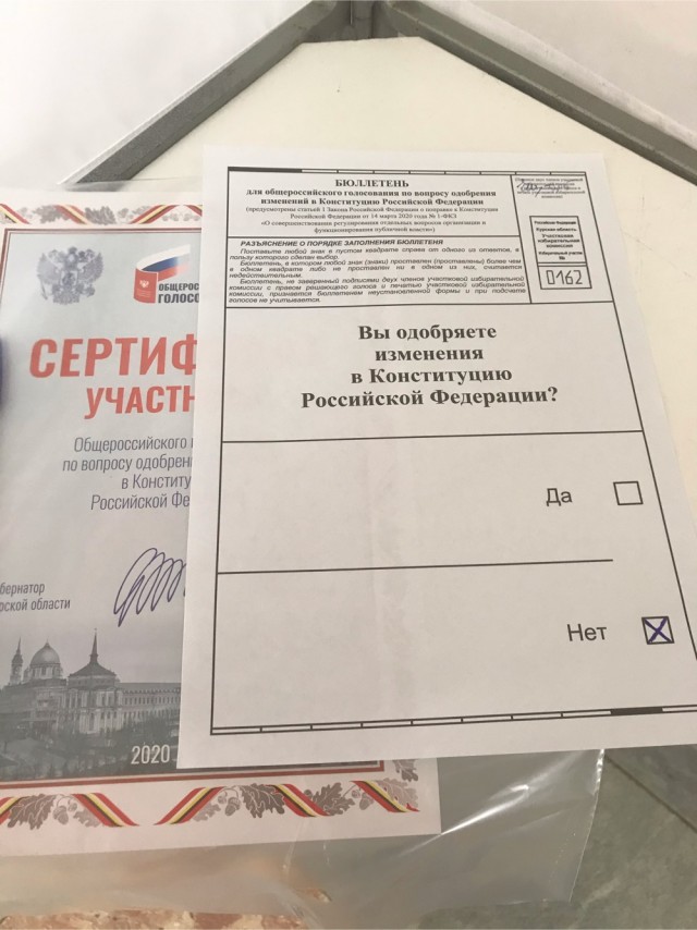 Стоит ли идти голосовать?