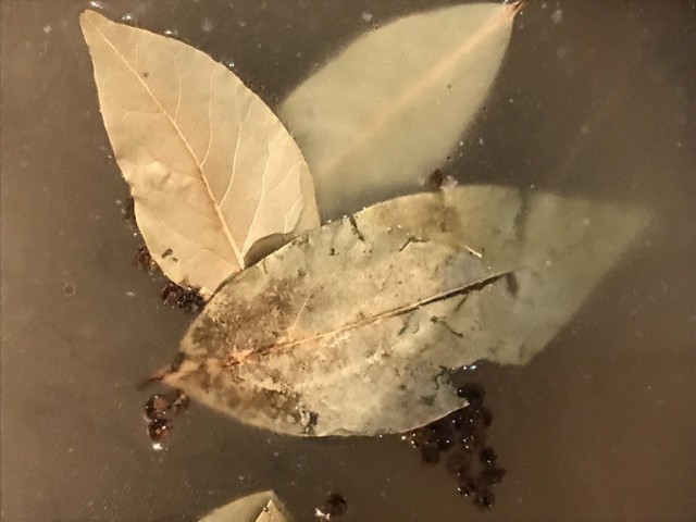 Рыбная солянка