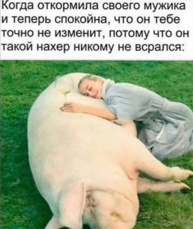 Юмор в картинках 6.11.20