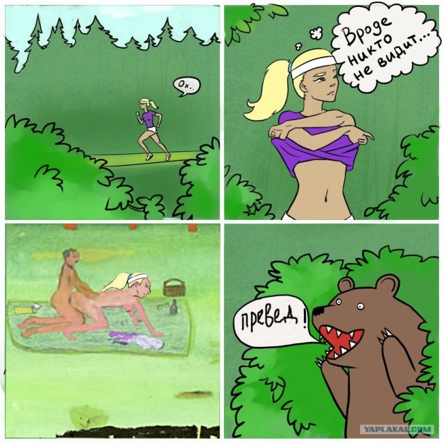 Закон- тайга, медведь за прокурора!