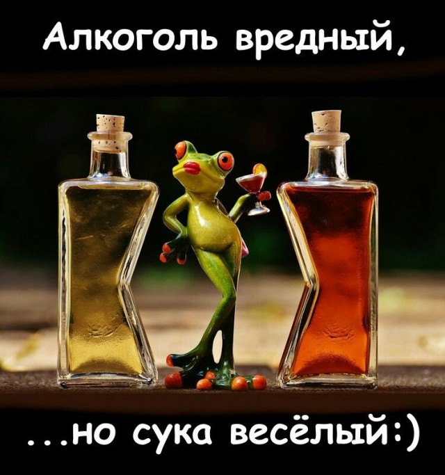 Алкопост 30.01.21