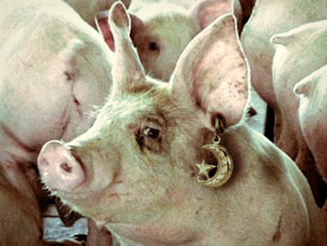 Курбан байрам в Москве, без комментариев...