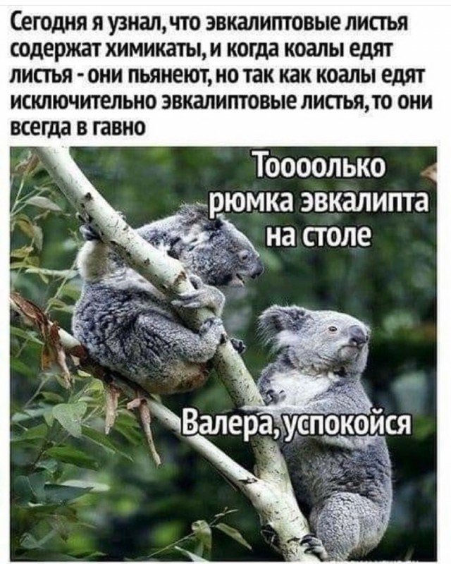 Картинки и мемы для настроения 18.08.2021