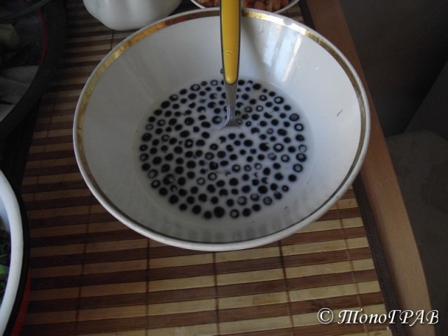 Пятничные посиделки на теплотрассе ©