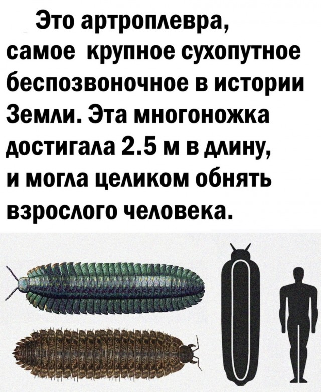 Так себе картинки 25.08.21