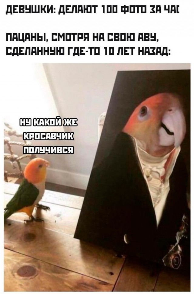 Так себе картинки 08.11.21