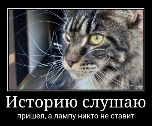 Вы, что спите? Вставайте, котовторник же!