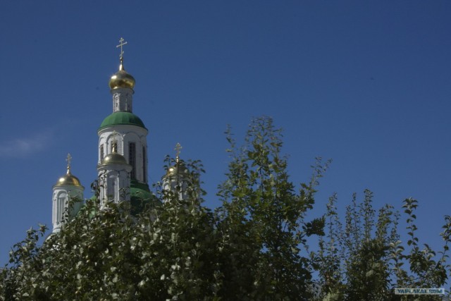 На катере в пос.Макарьево или Топограв, бе-бе-бе)