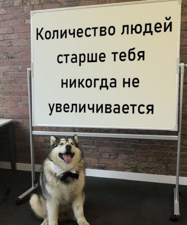 Картинки и мемы, выходные продолжаются