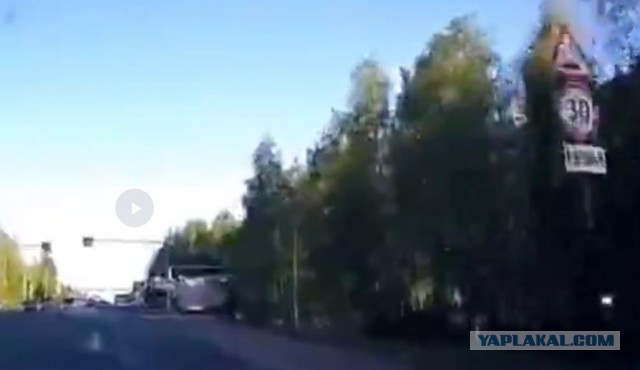 Чё там на дороге интересного, а в телефоне можно смешнявки посмотреть