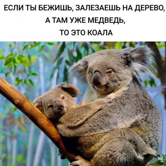 Картинки и мемы для настроения. Выходные скоро