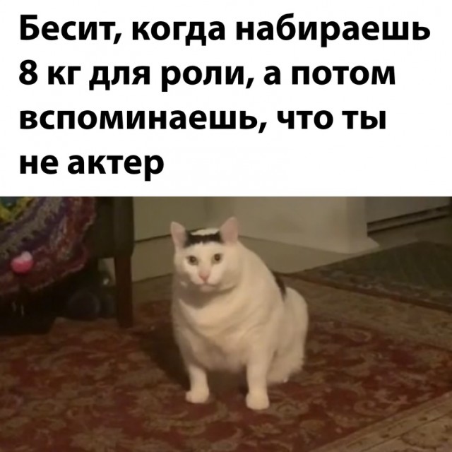 Картинки и мемы для настроения - 31
