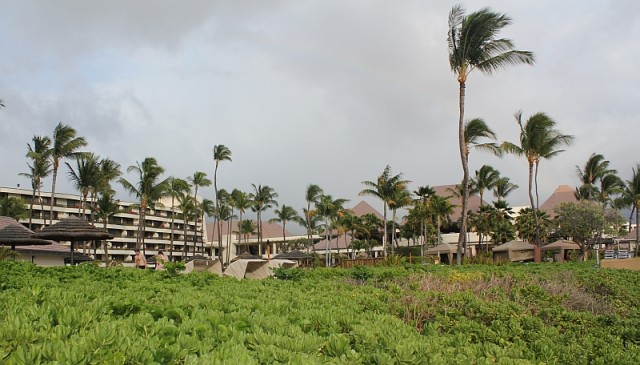 Деревенская Америка