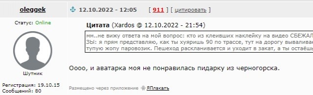 "Места для машин тут предусмотрены тротуарной плиткой"