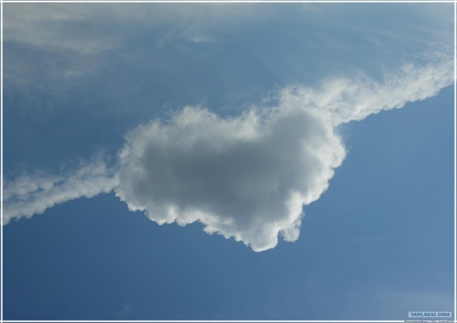 Крым. Змеиная балка. Терень-Джалга.