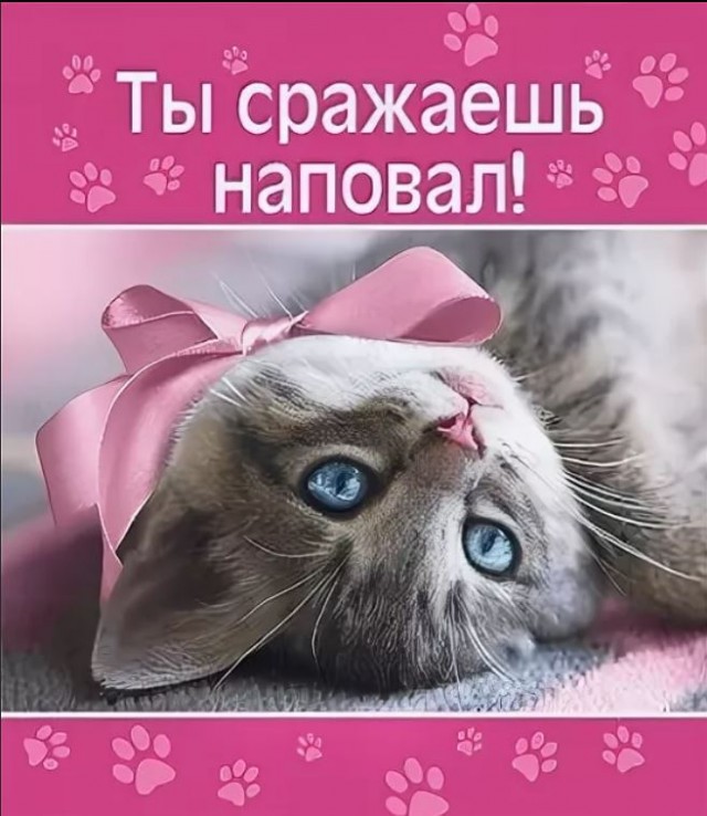 Победная поступь идиотизма по планете – том 5