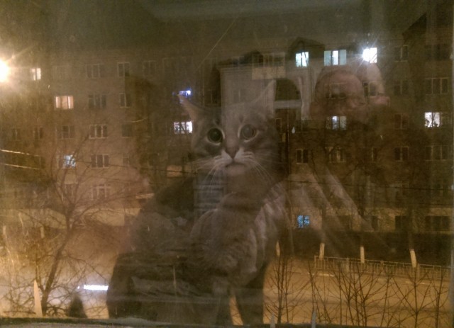 Ушел от жены. Измены. Взгляд любящего мужчины