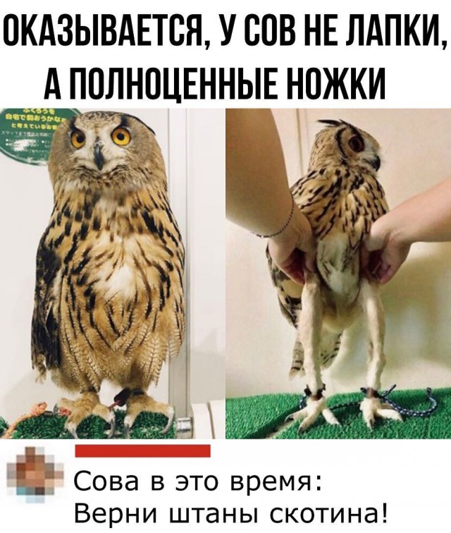 Картинки про всякое