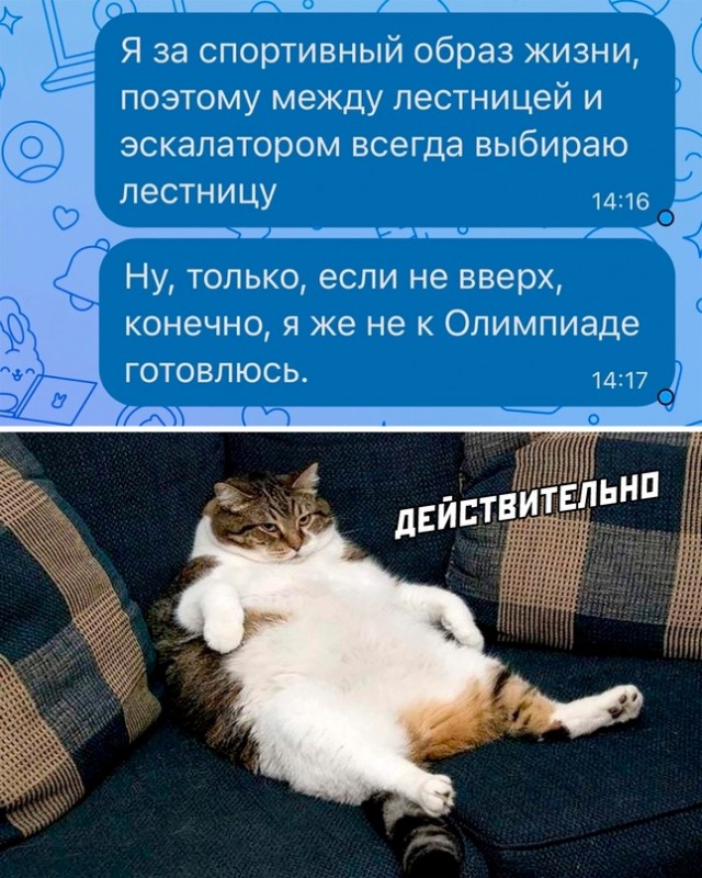 Весёлый полтишок 03.04.23
