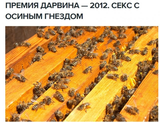 Затрахался до смерти