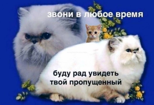 Немного мемчиков. Для взрослых. Часть 30