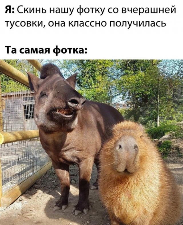 Картинки и мемы, всяко разно - 181