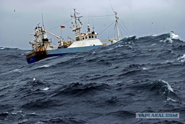 Как без опыта и образования получать 1,5 млн на морском судне
