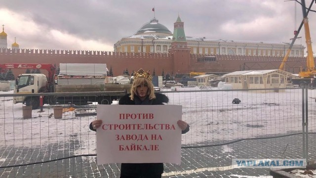 Госдума приняла законопроект о сплошных рубках лесов озера Байкал