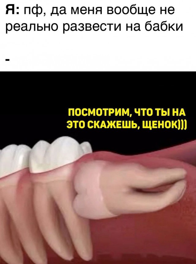 Нуштош 18.08.2023