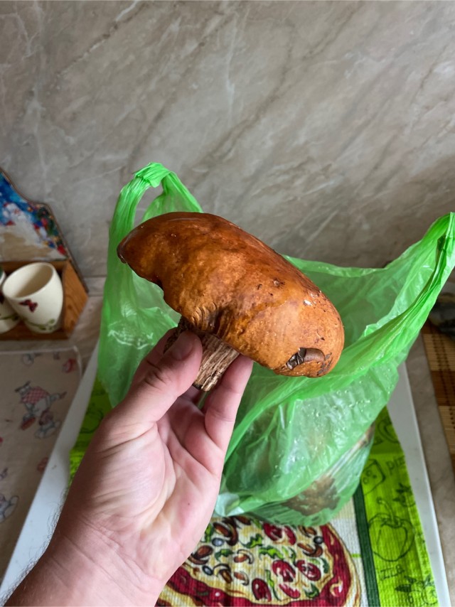Перекличка грибников