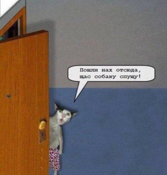 Как реагируют мужчины, когда узнают об измене жены?