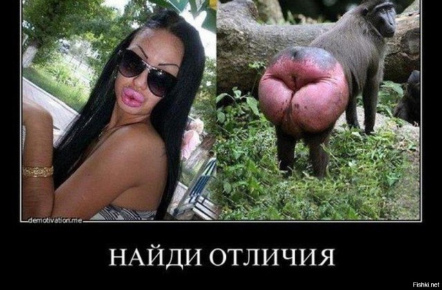 Современные хранительницы рычага