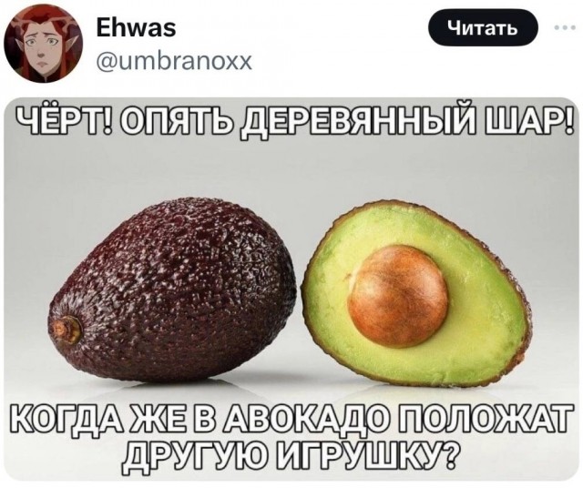 Новый президент Аргентины