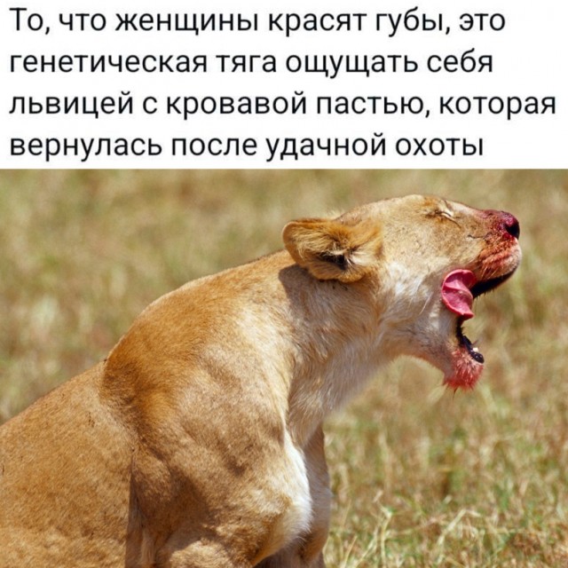 Весёлый полтишок 20.02.24