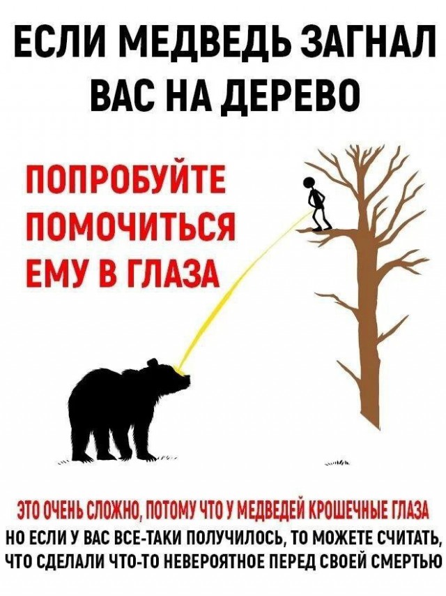 Никакие картинки