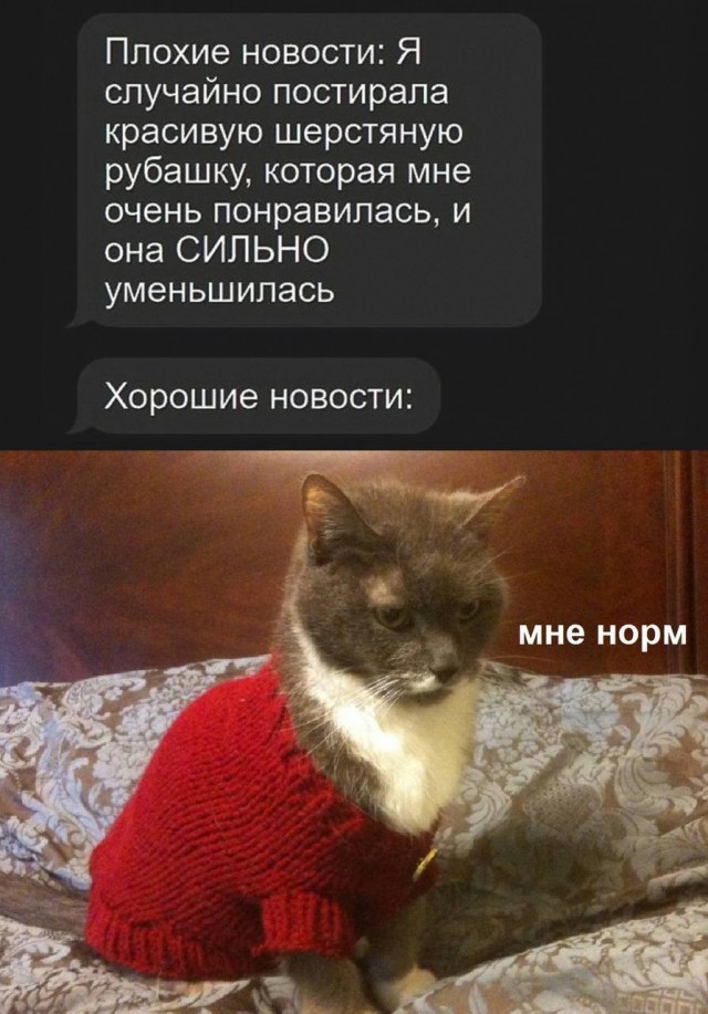 Завалялось тут случайно немного забавных картинок