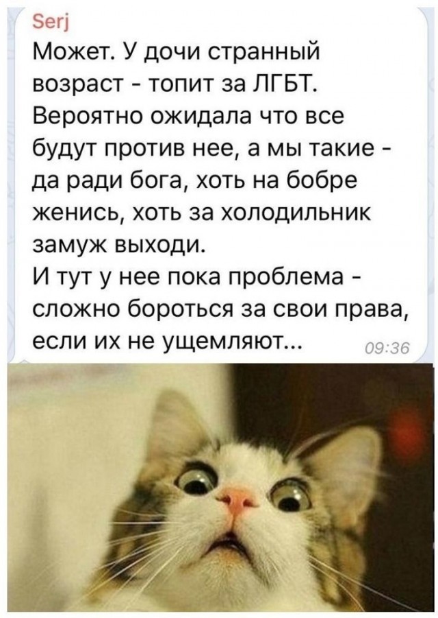 Так себе картинки 08.11.24