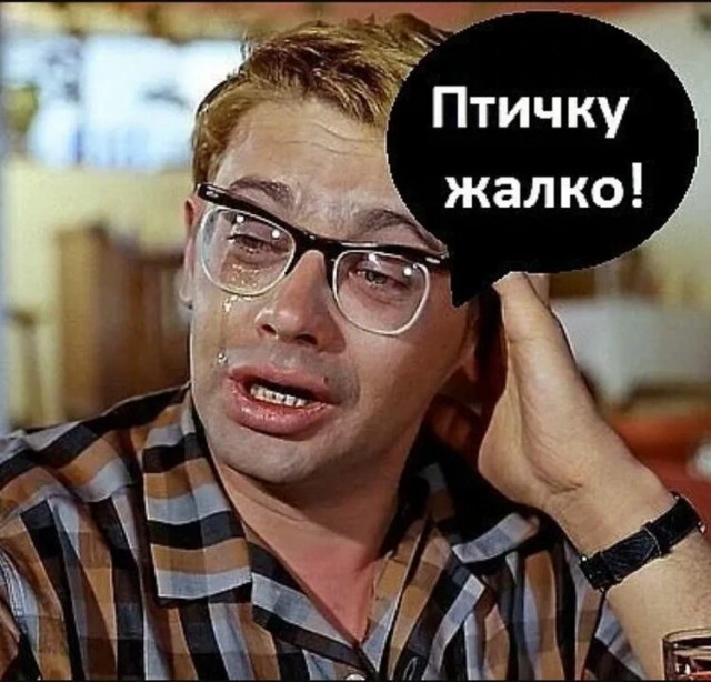 Столкновение самолётов со стаей птиц