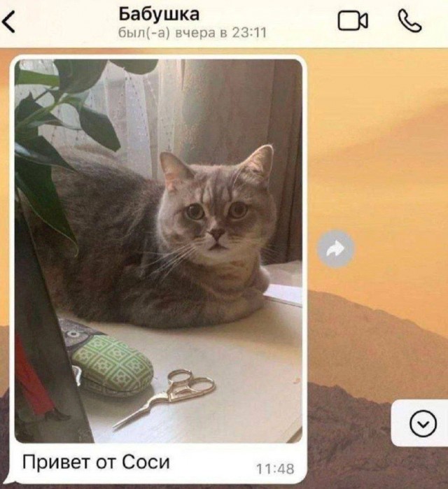 Завалялось тут случайно немного забавных картинок