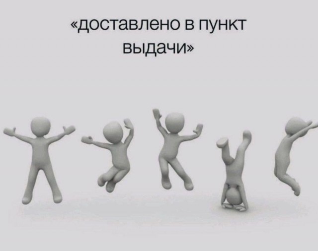 Весёлый полтишок 06.06.25