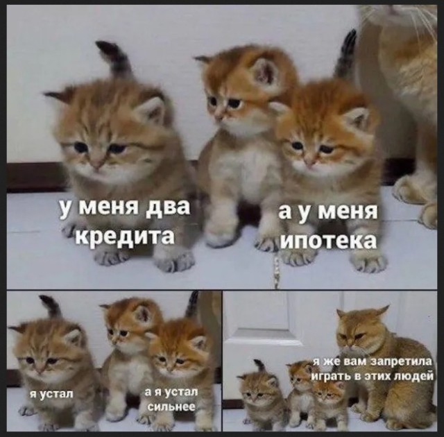 Завалялось тут случайно немного забавных картинок