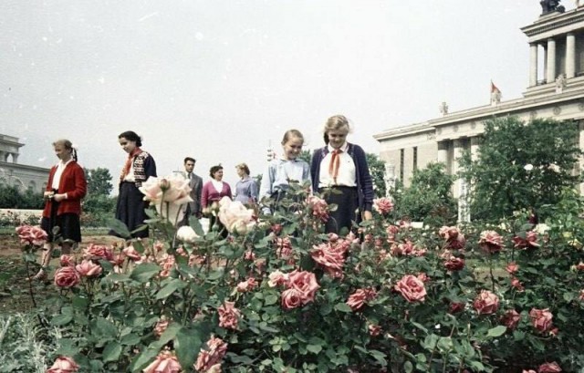 Москва и москвичи. Двадцатый век. 11.07.25