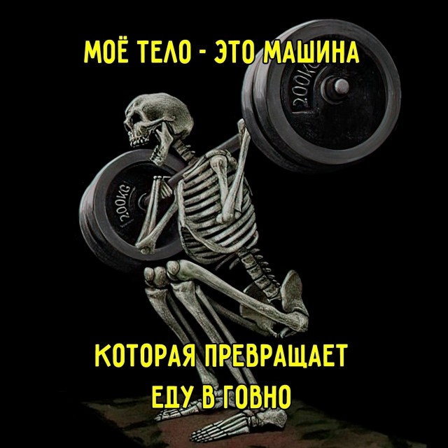 Так себе картинки 18.08.25