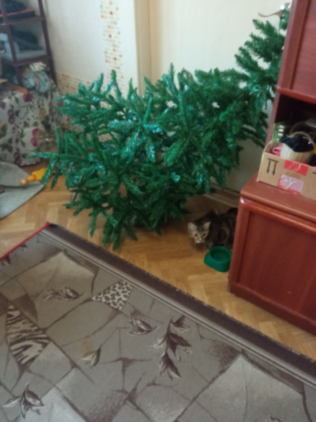 Ну начнемс ...!