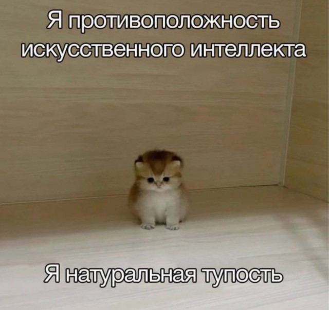 Веселое настроение в картинках (14.02.2025)