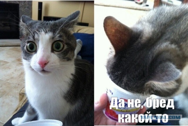 Осадков не будет. Мск, Лианозово