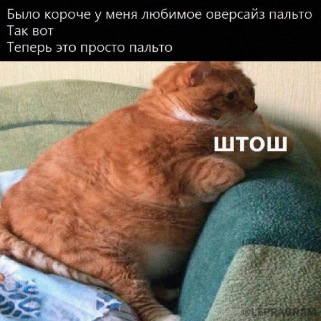 Котямбосы
