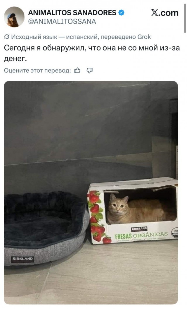 Субботние картинки