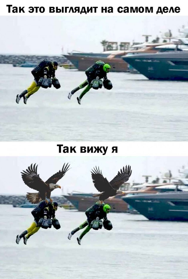 Веселые картинки в маленькую пятницу (27.05)